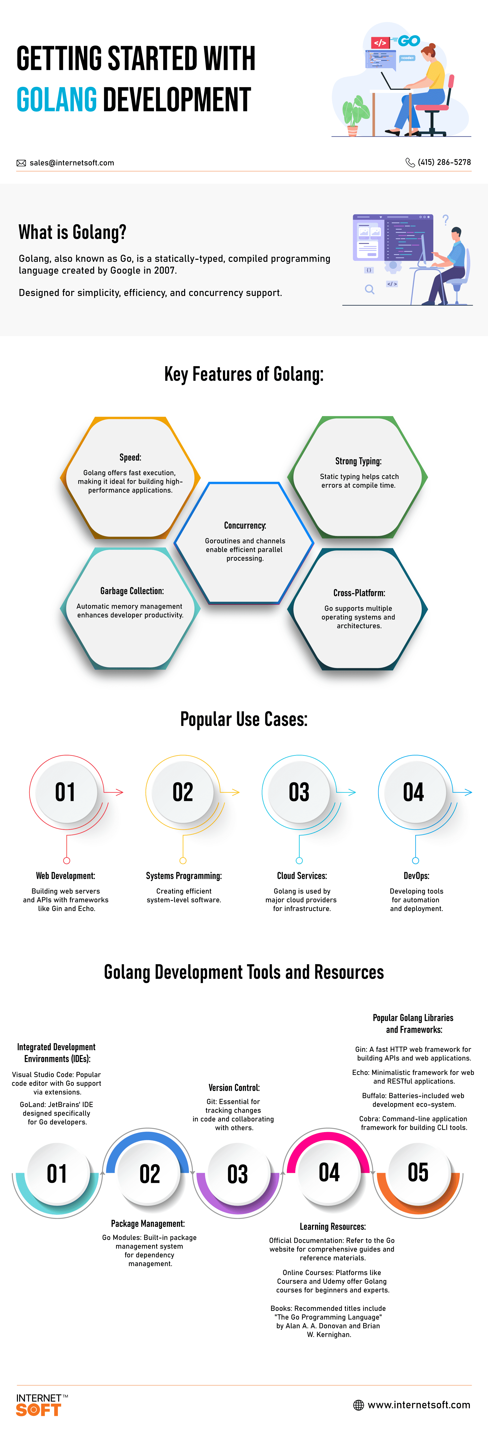 Getting Started With Golang Development - Internet Soft Infographics